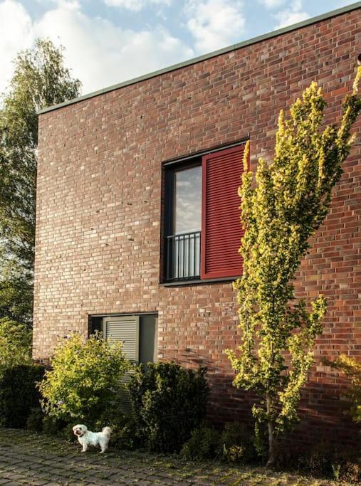 Schickes Wohnstudio Mit Garten Am Aasee Ibbenbüren Dış mekan fotoğraf